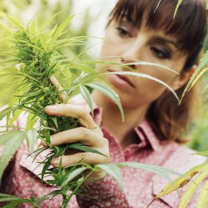 The facts around CBD products for pets