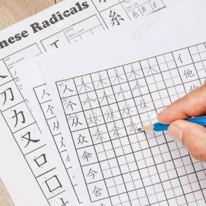Chinese language schools worldwide