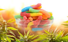 CBD Edibles Side Effects