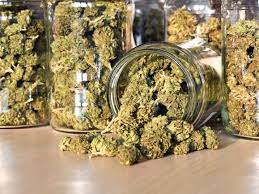 What are the health benefits of weed and how it is delivered?