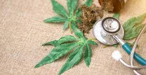 SIX TOP REASONS WHY CANNABIS REDUCES PAIN