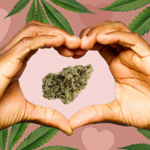 THE FUTURE OF CANNABIS: BEST PRACTICES 2023