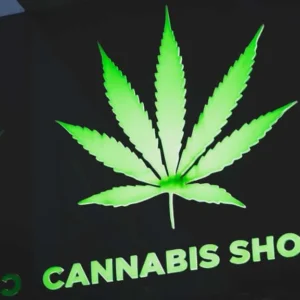 CULTIVATING EXCELLENCE: A DEEP DIVE INTO BC BUD’S CRAFT CANNABIS
